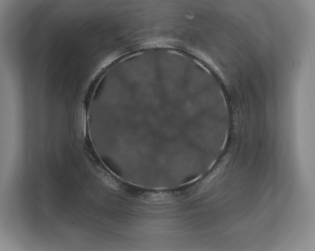 X0000110701219200906191521