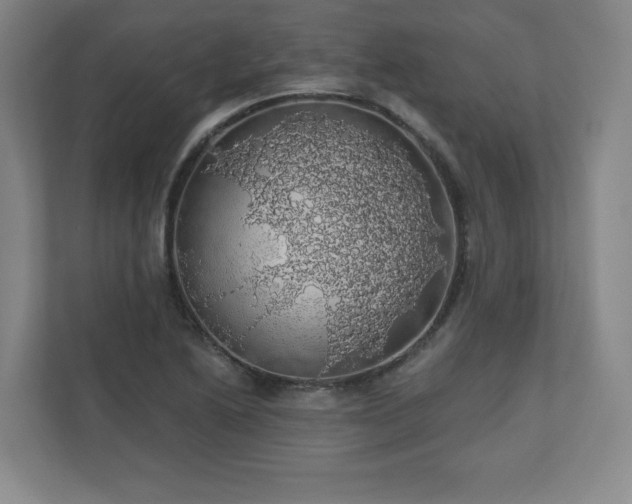 X0000110701222200906191521