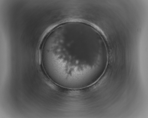 X0000110701223200906191521
