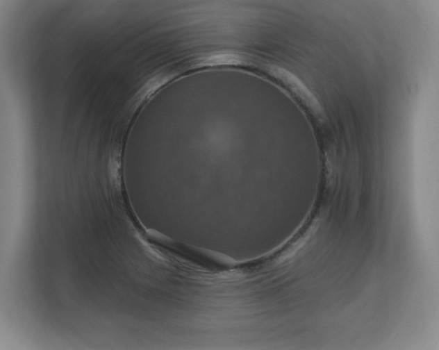 X0000110701225200906191521