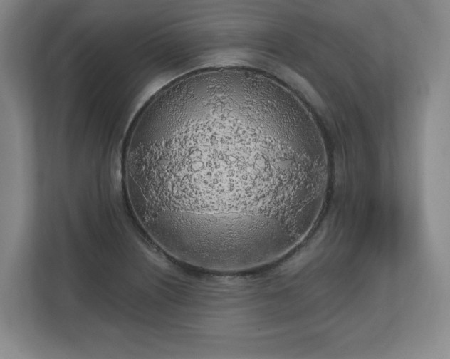 X0000110701226200906191521