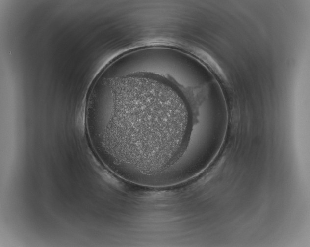 X0000110701228200906191521