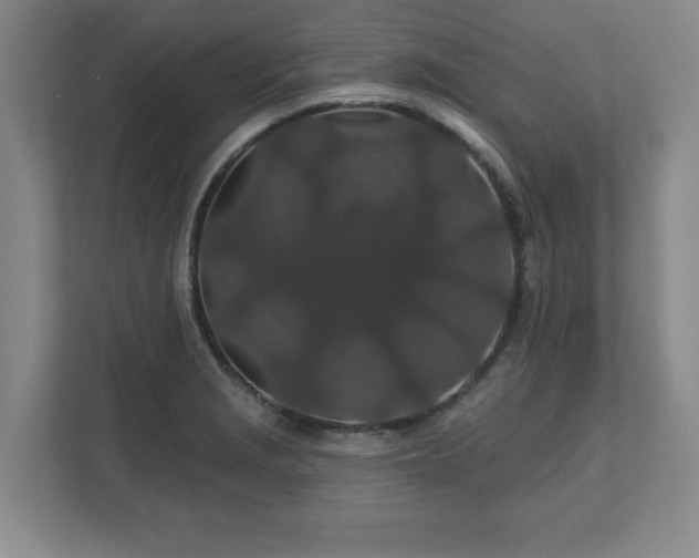 X0000110701229200906191521