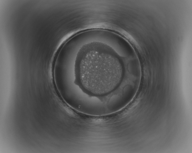 X0000110701230200906191521
