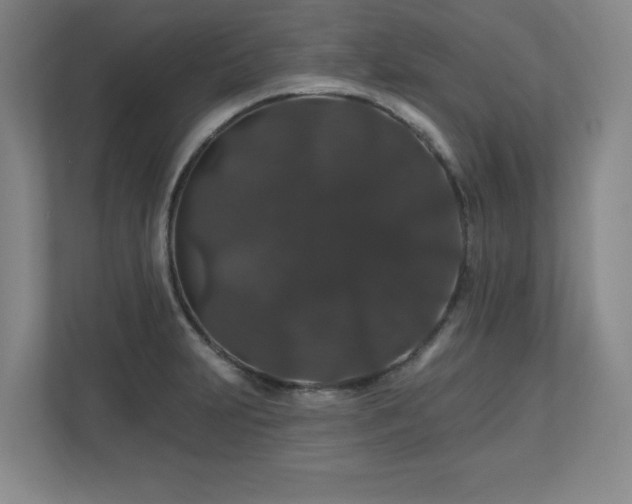 X0000110701231200906191521