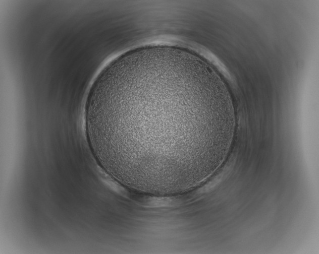 X0000110701232200906191521