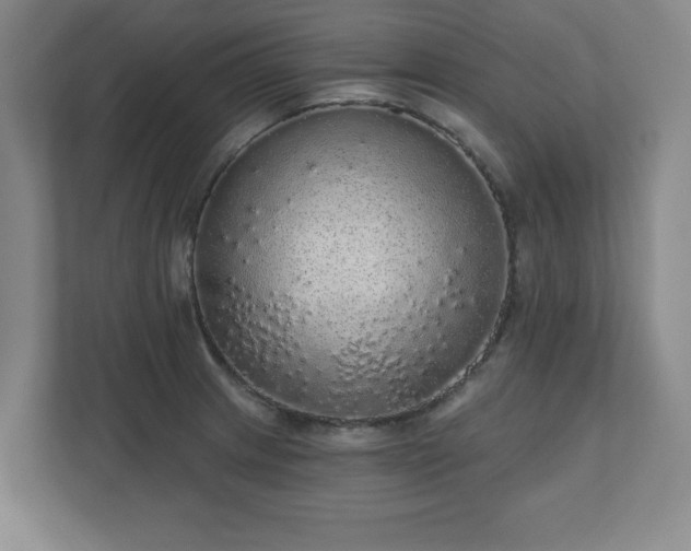 X0000110701233200906191521