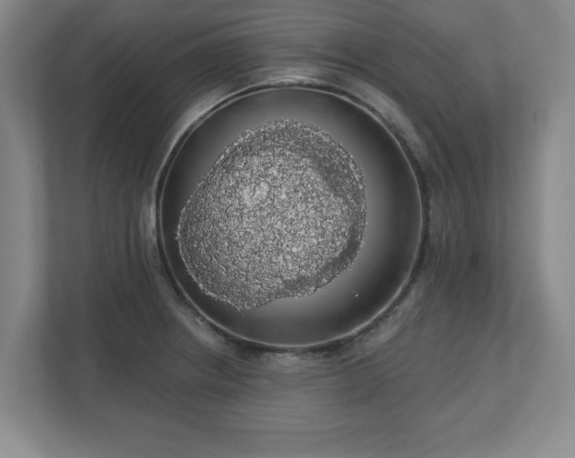 X0000110701234200906191521