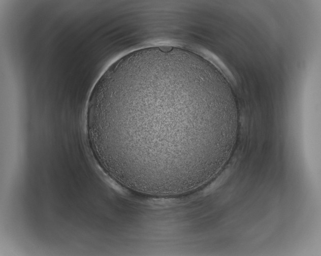 X0000110701236200906191521