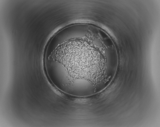 X0000110701237200906191521