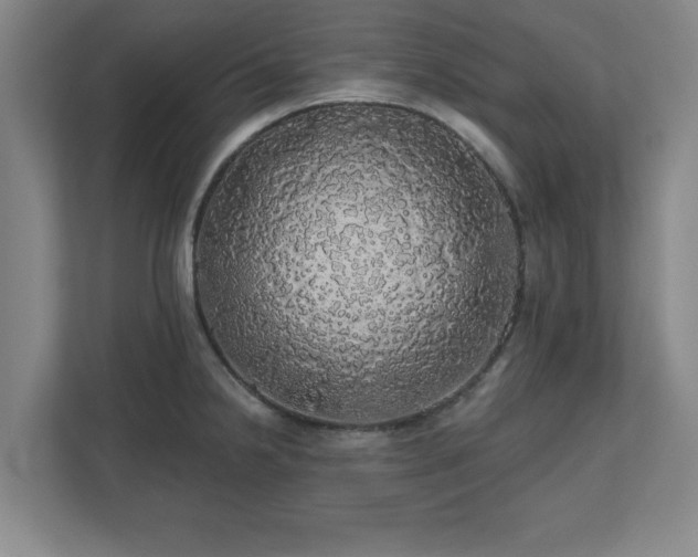 X0000110701238200906191521