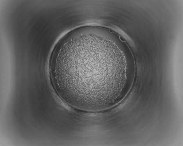 X0000110701240200906191521