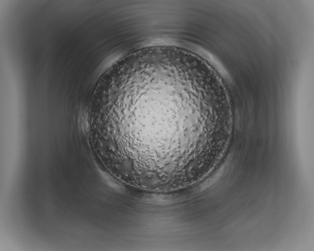 X0000110701241200906191521