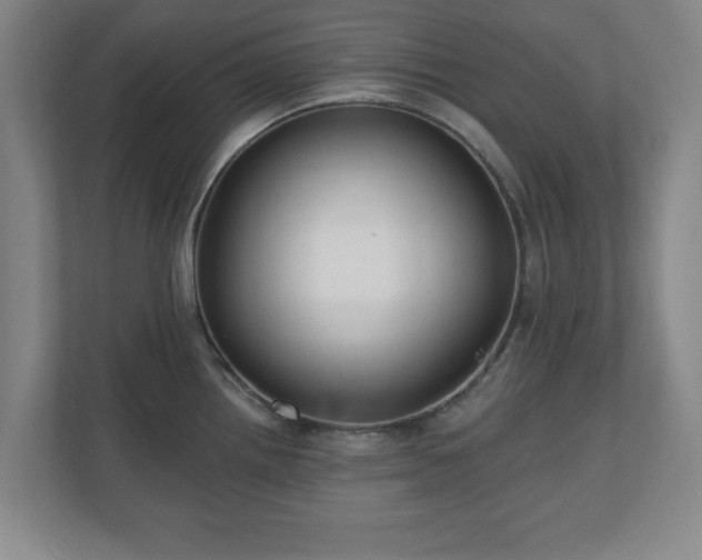 X0000110701242200906191521