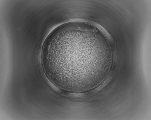 X0000110701244200906191521