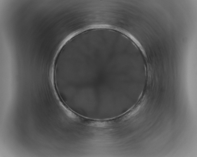 X0000110701245200906191521