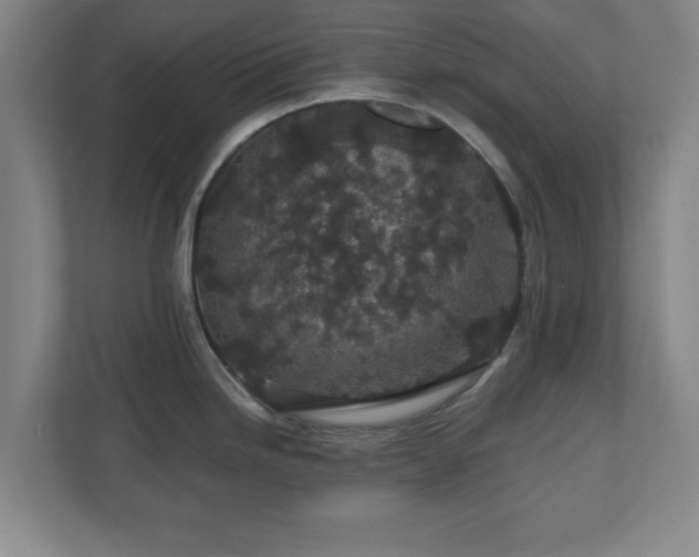 X0000110701246200906191521
