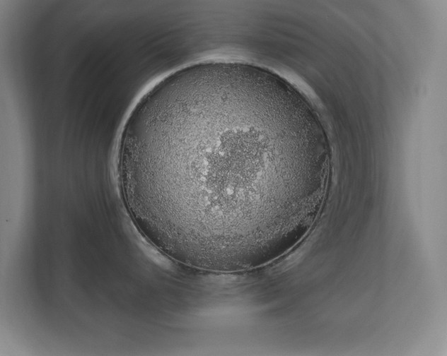 X0000110701248200906191521