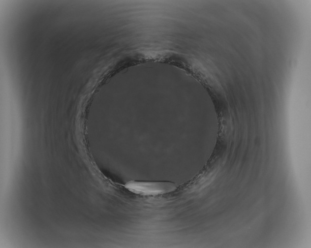 X0000110701249200906191520