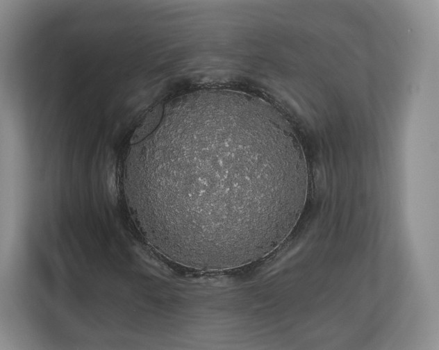 X0000110701250200906191520