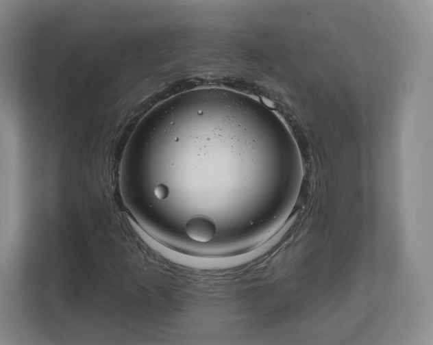 X0000110701253200906191520