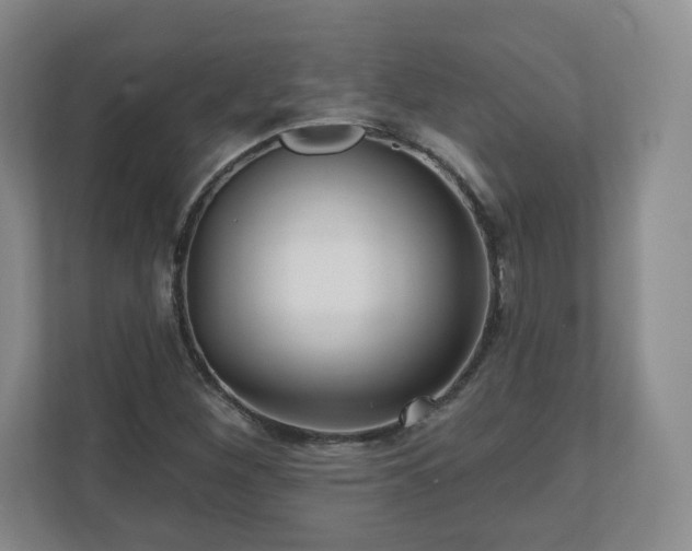 X0000110701260200906191520