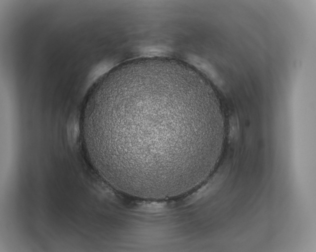 X0000110701261200906191520