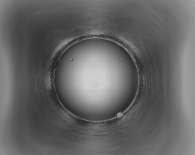 X0000110701262200906191520