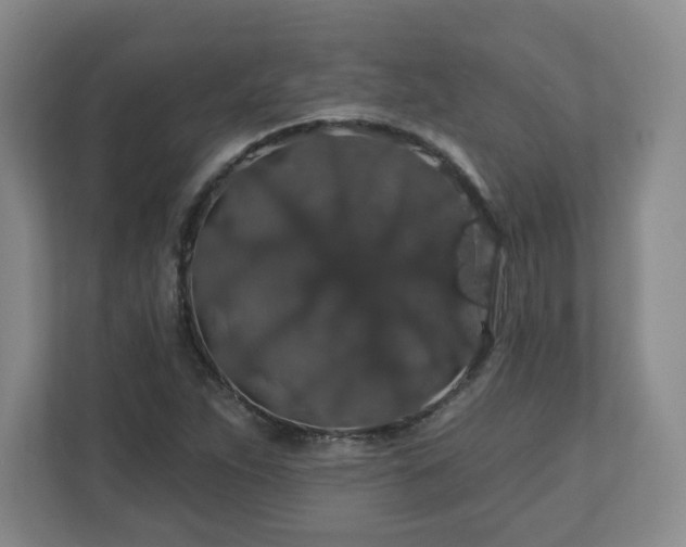 X0000110701263200906191520