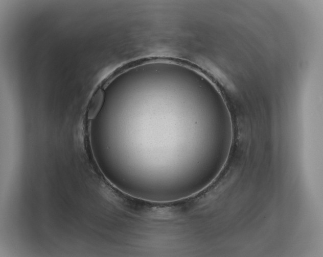 X0000110701264200906191520