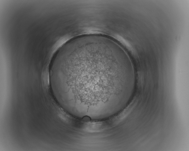 X0000110701269200906191520