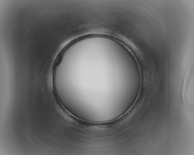 X0000110701272200906191520