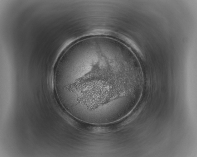 X0000110701275200906191520