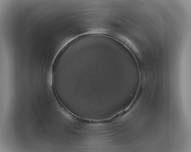 X0000110701276200906191520
