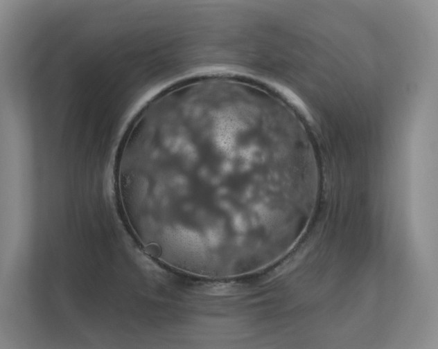 X0000110701279200906191520