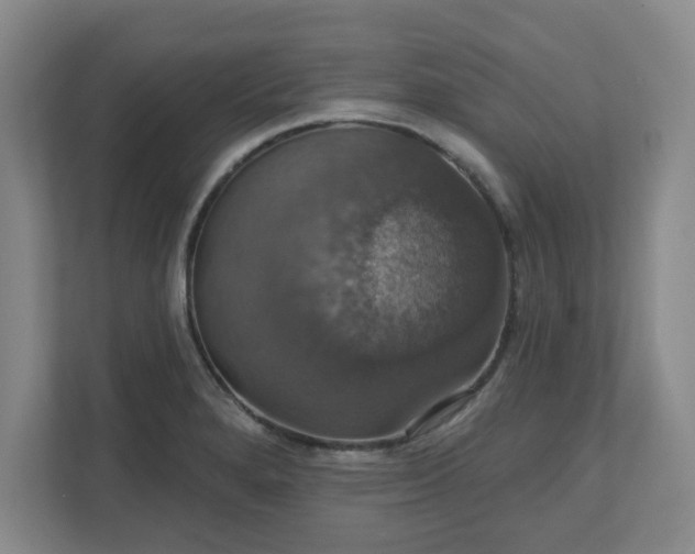 X0000110701280200906191520