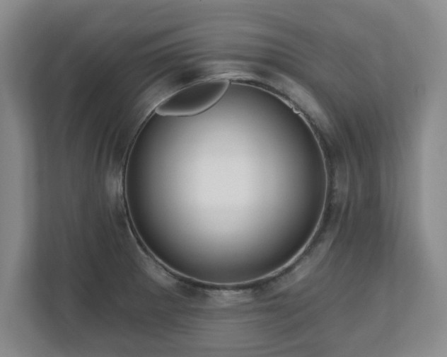 X0000110701281200906191520