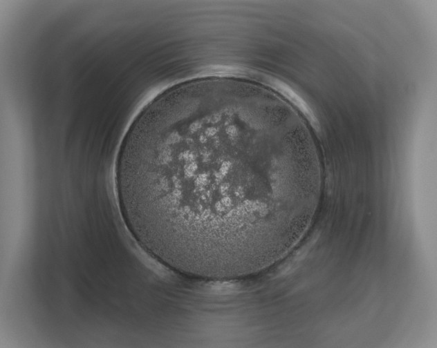 X0000110701283200906191520