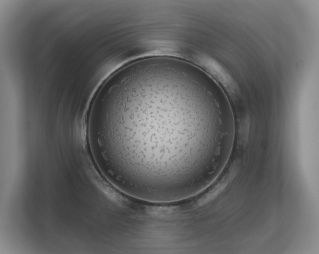 X0000110701284200906191520