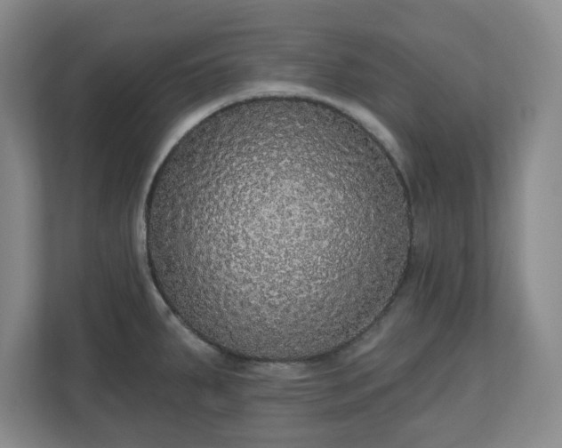 X0000110701287200906191520