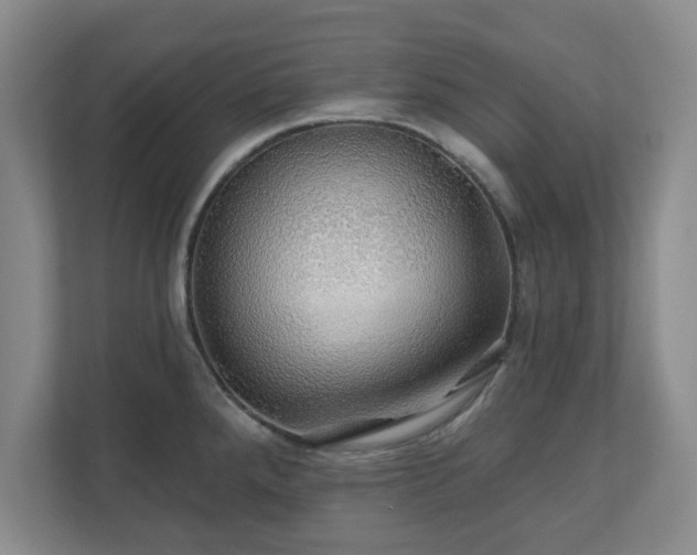 X0000110701288200906191520