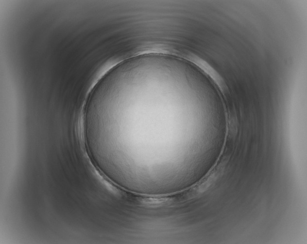 X0000110701290200906191520