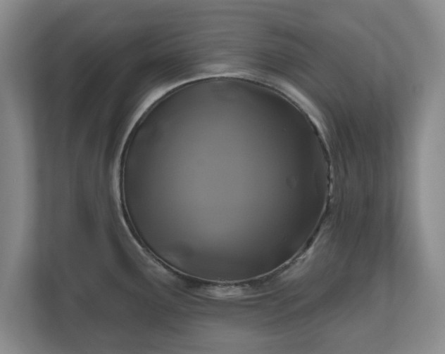 X0000110701291200906191520