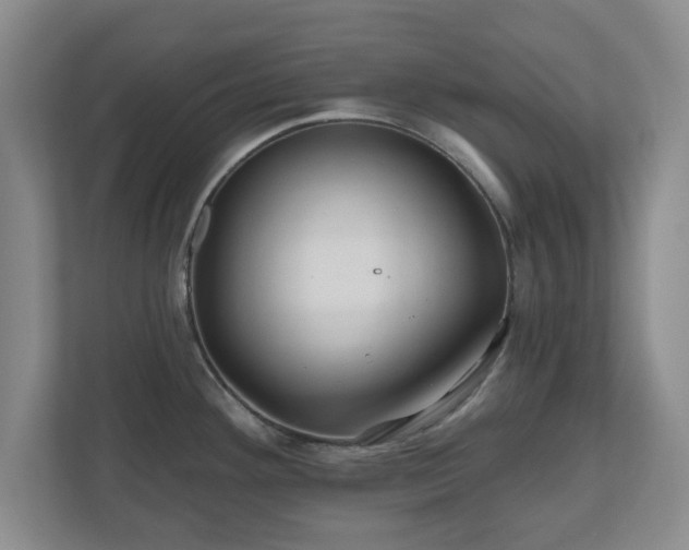 X0000110701292200906191520