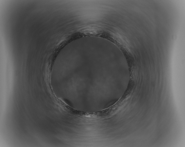 X0000110701297200906191519