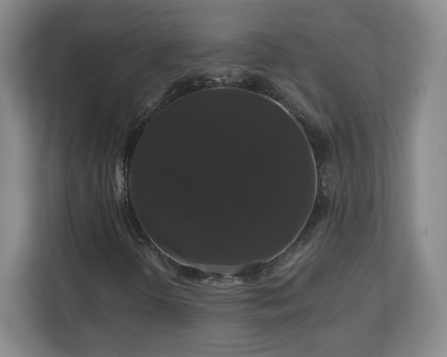 X0000110701298200906191519