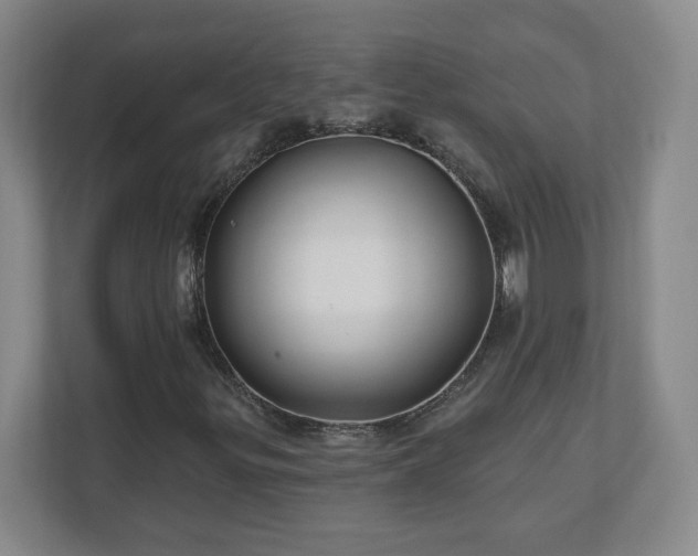 X0000110701299200906191519