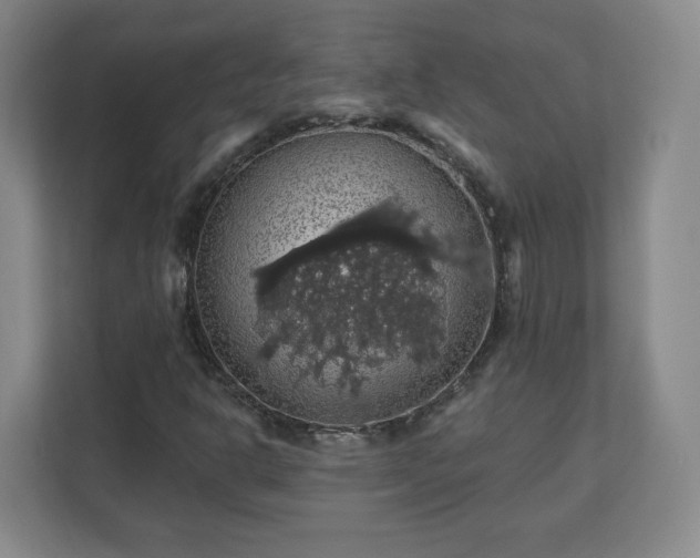 X0000110701302200906191519