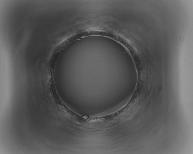 X0000110701303200906191519