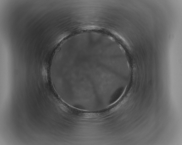 X0000110701305200906191519